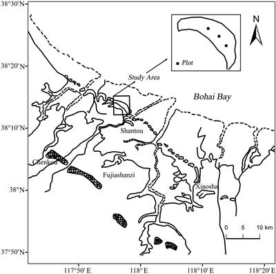 Water Uptake Tradeoffs of Dominant Shrub Species in the Coastal Wetlands of the Yellow River Delta, China